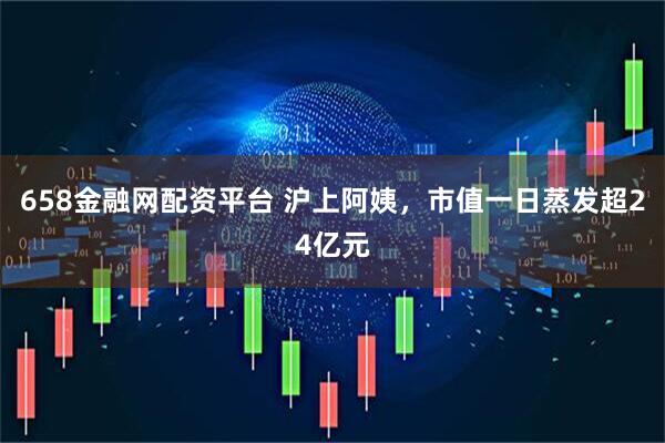 658金融网配资平台 沪上阿姨，市值一日蒸发超24亿元
